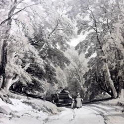 A family in the forest